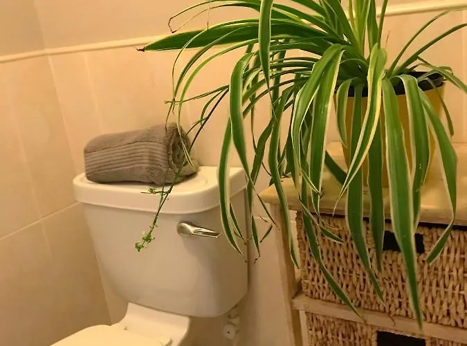 Immaculate In Casa vacanze Westport